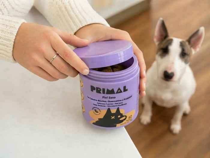 Bully con suplemento Primal