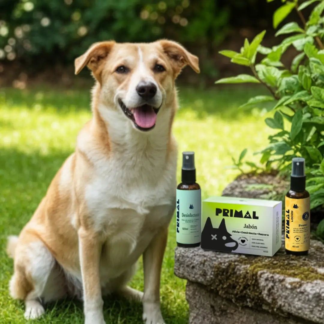 Kit Piel Sana - El Ritual de 7 Días que ha Curado a más de 1.000 Perros