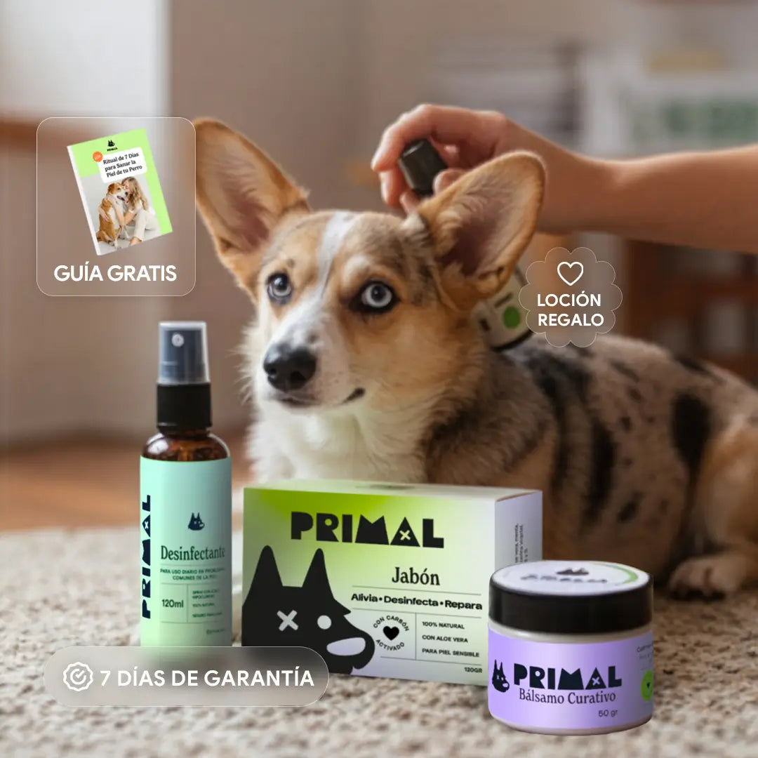 Kit Piel Sana - El Ritual de 7 Días que ha Curado a más de 1.000 Perros