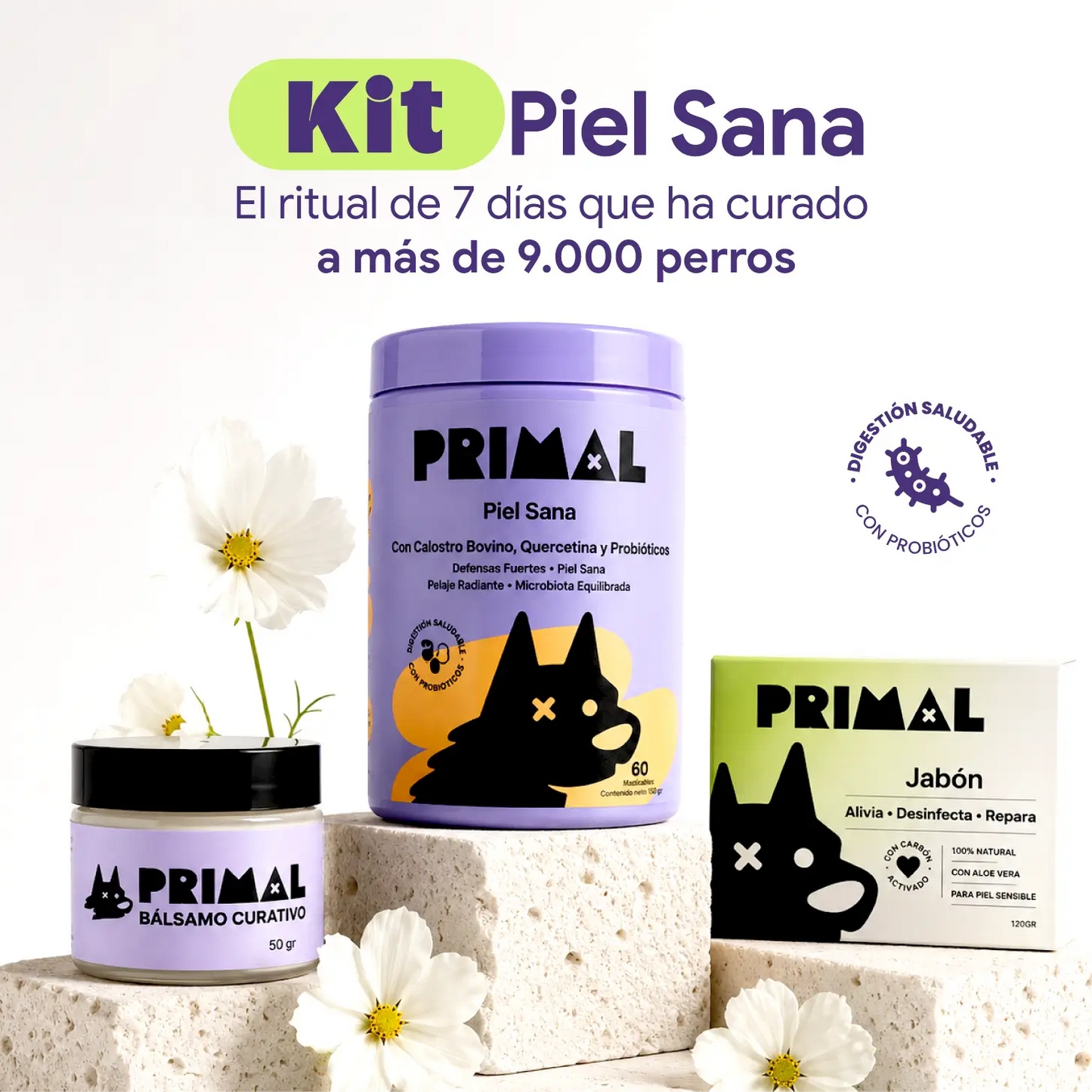 Kit Piel Sana FInal