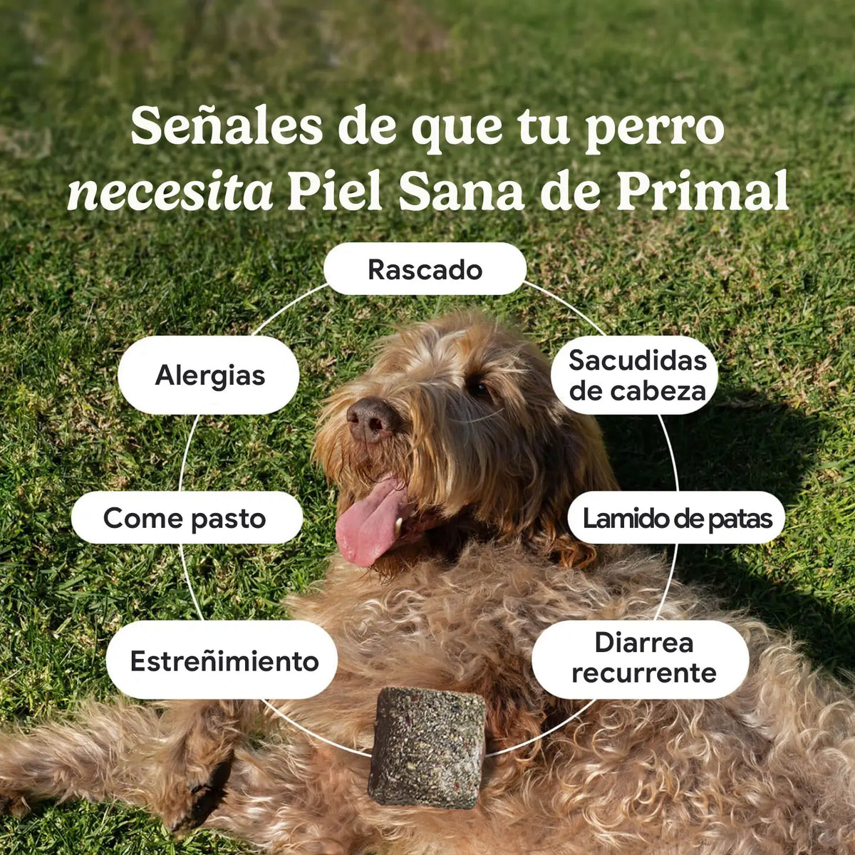 Suplemento Piel Sana