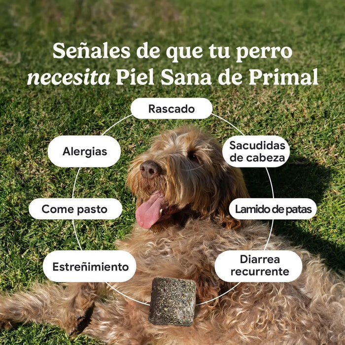 Suplemento Piel Sana · 60 masticables